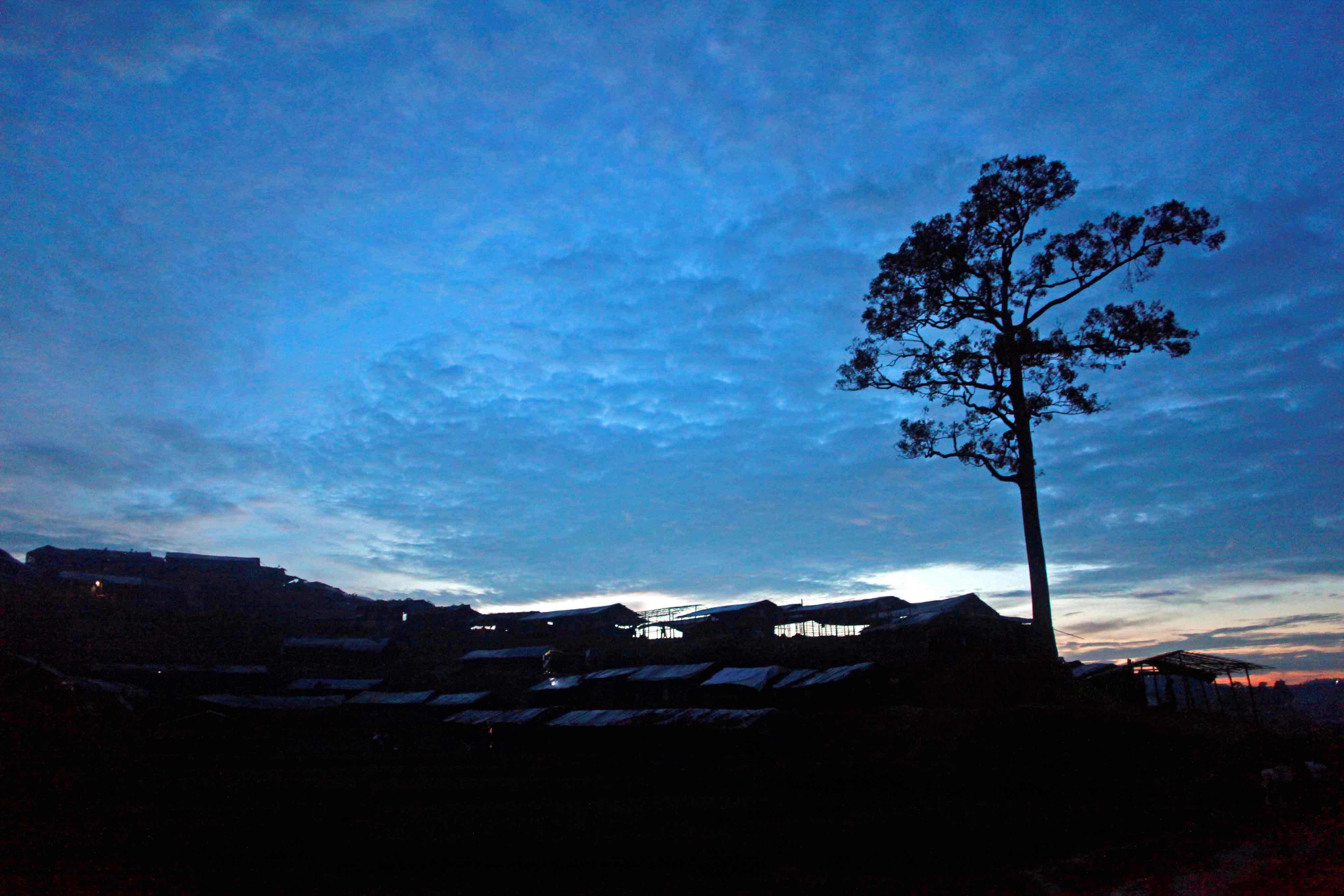 Rohingya Chronicles
